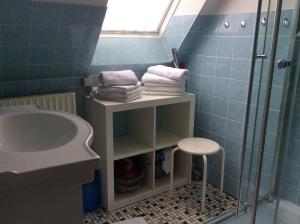 a bathroom with a sink and a shower and towels at Neue Straße 3 in Großenbrode