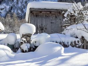 ギンツリングにあるApartment Wandegg by Interhomeの積雪キャビン