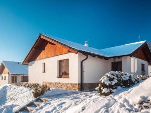 Holiday Home Residence Lipno-7 by Interhome v zimě