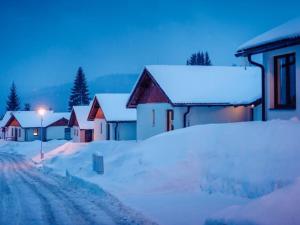 Holiday Home Residence Lipno-7 by Interhome v zimě