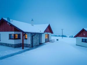 Holiday Home Residence Lipno-7 by Interhome v zimě