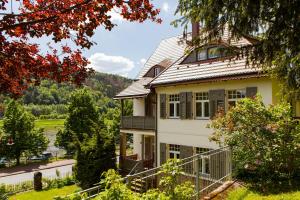 a house with a view of a river and trees at Villa Elbufer in Bad Schandau