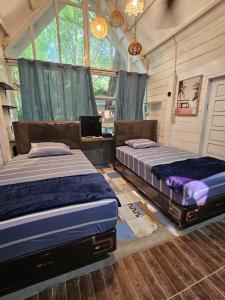 two beds sitting in a room with windows at Saho Coffee & Rooms in Lhonga