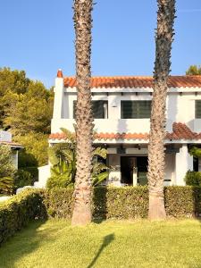 dos palmeras frente a un edificio en Casa Buenos Aires, en Punta Grossa