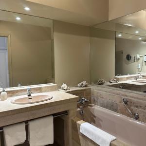a bathroom with a sink and a tub and a mirror at LE SOLEIL D'OR in Joinville