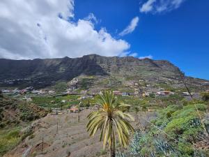 a palm tree in front of a mountain at Vivienda Vacacional Cuenca de Liria in Hermigua