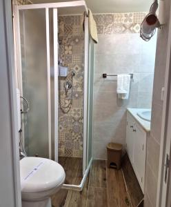 a bathroom with a shower and a toilet and a sink at Suite Borgo 74 in Piana degli Albanesi