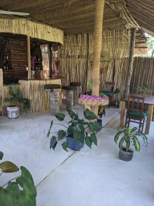 a patio with tables and plants in a straw hut at KUA GARDEN COTTAGE in Utende