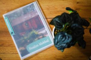 a book sitting on a table next to a plant at Huisdiervriendelijk houten huisje in het groen in Epe