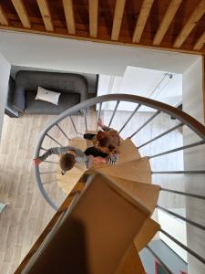 Hostia v ubytovaní At Dream appartement