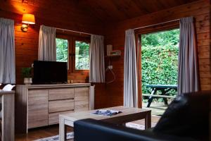 un soggiorno con TV e finestra di Sfeervol houten huisje met omheinde tuin op de Veluwe a Epe