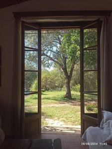 an open door with a view of a tree at Finca SAlzinar in Inca