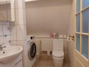 a bathroom with a toilet and a sink and a washing machine at Singelachterhuis Roermond in Roermond +5 photos