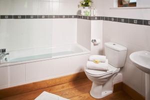 ein Badezimmer mit Toilette, Badewanne und Waschbecken in der Unterkunft Swifts Return - Apartment with hot tub, sauna and indoor pool (Dartmoor) in Trusham + 19 Fotos