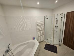 Ένα μπάνιο στο Ferienwohnung Heilbronn +6 φωτογραφίες