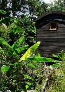 a small wooden building with a small window on it at La Petite Roulotte de la Bananeraie in Le Petit Brûlé