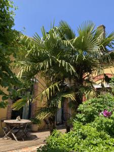 a palm tree in front of a building with a table at Le 16 maison d'hôtes en Berry in Henrichemont