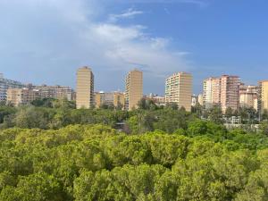 un perfil urbano con edificios altos en el fondo en Cozy Appartement - Lumineux 3 pièces, à côté du Jardin de Turia, en Valencia