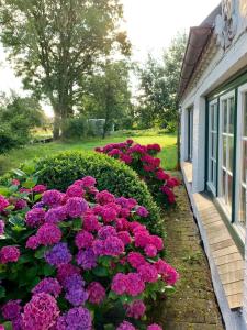 Zahrada ubytování Ferienhaus Winnerthof