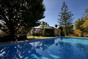 a large blue swimming pool in a yard with trees at Villa das Rosas in Sintra