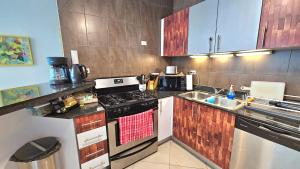 Η κουζίνα ή μικρή κουζίνα στο Large Apartment with Ocean View