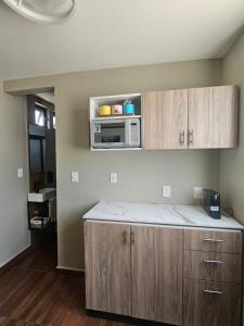 a kitchen with wooden cabinets and a microwave at Roof Loft Cerca de Poliforum in León