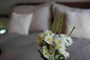 Кровать или кровати в номере Venere B&B