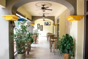 Nhà hàng/khu ăn uống khác tại Hotel Plaza San Martin