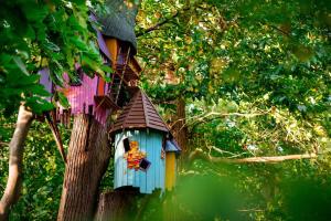 a colorful bird house sitting on a tree at Fir Tree Farm by Wigwam Holidays in Whitchurch
