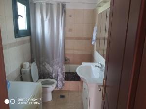 a bathroom with a toilet sink and a shower curtain at Βίλλα Αντρέας in Karavomylos +13 photos