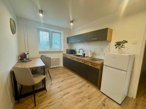 Kuchyň nebo kuchyňský kout v ubytování Apartmán Strážske s balkónom