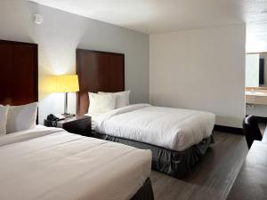 Postel nebo postele na pokoji v ubytování Motel 6 Mesa, AZ - Downtown