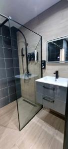 a bathroom with a shower and a sink and a mirror at Logement indépendant proche toutes commodités in Avae