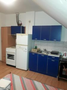 Kuchyň nebo kuchyňský kout v ubytování VILA NATALIJA APARTMANI