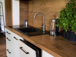 a kitchen with a sink and a potted plant at Beskidzki Zakątek Ustroń - Przytulny domek z kominkiem, idealny na relaks i ucieczkę od miasta in Ustroń