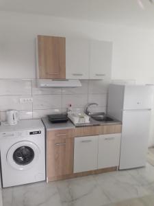 a kitchen with a sink and a washing machine at VilaNatalija APARTMANI in Apatin