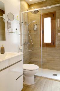 a bathroom with a toilet and a glass shower at vallespin 43 parking, wifi in Avila +30 photos
