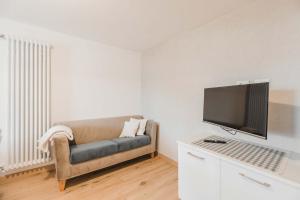 TV a/nebo společenská místnost v ubytování Casa Dorich