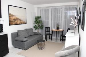 a living room with a couch and a table at JASTRZĘBIA GÓRA Rozewska 44 apartament A01 in Tupadły