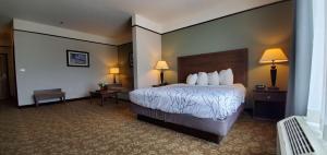 Postel nebo postele na pokoji v ubytování Best Western Plus Emory at Lake Fork Inn & Suites
