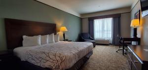 Postel nebo postele na pokoji v ubytování Best Western Plus Emory at Lake Fork Inn & Suites + 20 fotografií