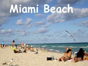 Gallery image of Bikini Lodge in Miami Beach