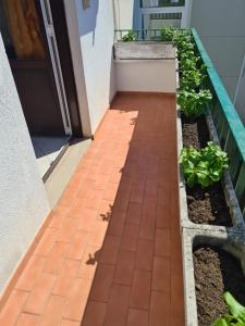 a walkway leading up to a door with plants at Casa Lisa in Trieste