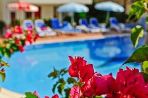 a pool with blue chairs and red flowers in front of it at Irem Garden Hotel & Apartments in Side