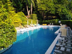a large swimming pool with lounge chairs and trees at Eurotel 312 in Rapallo