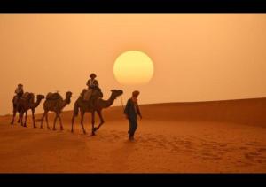 a group of people riding camels in the desert at Riad dar Assou in Marrakesh