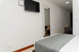 TV a/nebo společenská místnost v ubytování Hotel Palo Alto Laureles