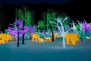 a group of trees decorated with christmas lights at Holiday Inn Laval Montreal by IHG in Laval +91 photos