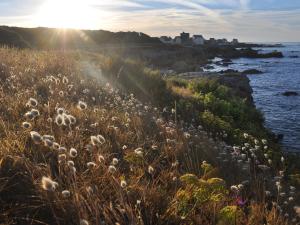 ein Feld mit hohem Gras neben dem Wasser in der Unterkunft Appartement face à la plage avec cour commune, BBQ et wifi à Piriac-sur-Mer - FR-1-306-1188 in Piriac-sur-Mer + 3 Fotos