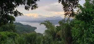a view of a body of water with mountains and trees at CASA LICHIs in Suchitoto
